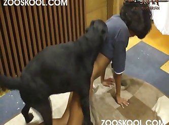Animal Movie Sex Video