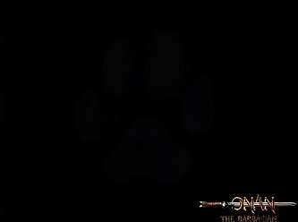 Indonesia Animal Sex