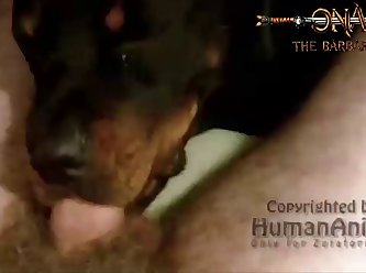 Sex With Animal 4k