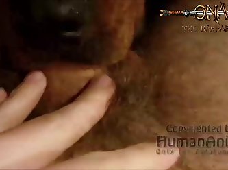 Sex With Animal 4k