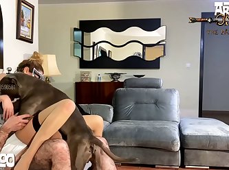 Animal Sex Gof