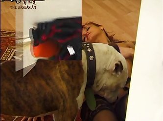 Sex And Animal Porn