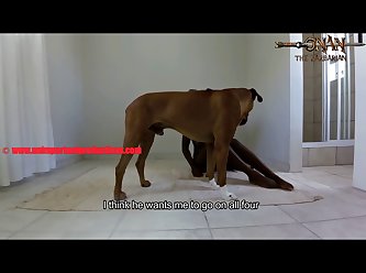 Animal Hen Sex