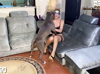 Louisiana Animal Sex