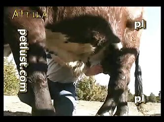 Free Animal Sex Vids