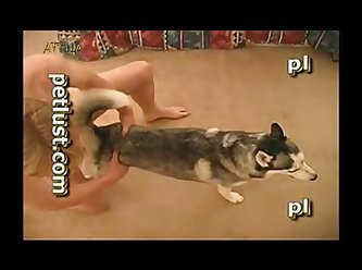 Gay Sex Video Animal