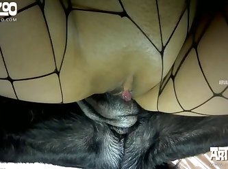 Fotos Zoofilia Perros