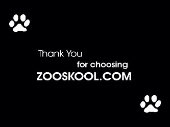 Videos En Hd De Zoofilia