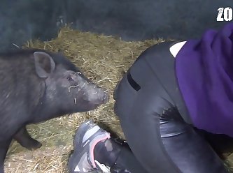 Videos De Zoofilia Gatos