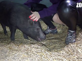 Videos De Zoofilia Gatos