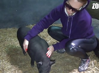 Videos De Zoofilia Gatos