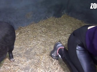 Videos De Zoofilia Gatos
