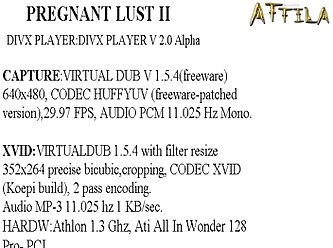 Very Hairy Skinny Gypsy Pregnant Anal In Pregnant Lust 2