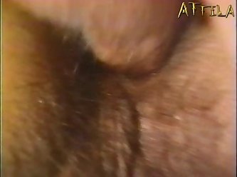 Very Hairy Skinny Gypsy Pregnant Anal In Pregnant Lust 2