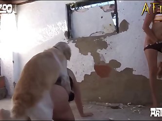 Quickly Found A Steady Pace And Started To Suck