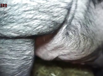 Alexis Fawx Ryan Ryans Lesbian Xxx Porn