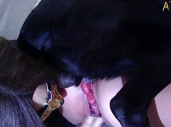 Quickie Creampie Sex Porn Xxx