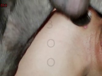 Porn Hub Sex Videos Xxx