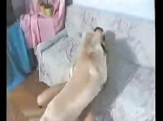 Xxx Milf Pussy Porn Xxx