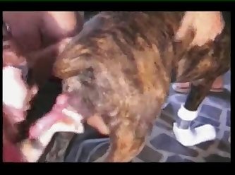 Puppy Girl Jenna Porn Xxx