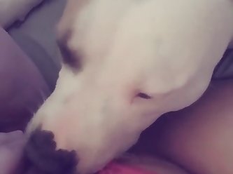 Xxx Aditi Mistry Porn