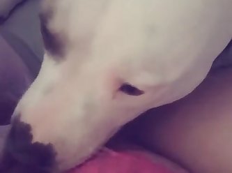 Xxx Aditi Mistry Porn