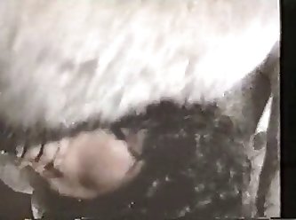 Porn Industry Xxx