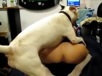 Porn Healslut Xxx Porn