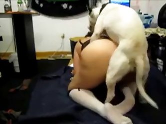 Porn Healslut Xxx Porn