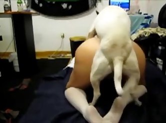 Porn Healslut Xxx Porn