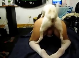 Porn Healslut Xxx Porn