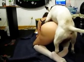 Porn Healslut Xxx Porn