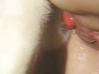 Anime Anal Vore Xxx Porn