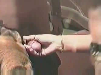 Brinx Compilation Xxx Porn