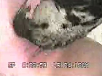 Kulhad Pizza Couple Xxx Porn