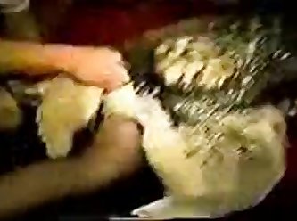 Deku No Hero Academia Xxx Porn