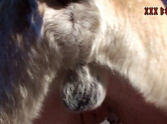 Animal Man Porn Video