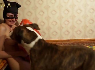 Animal Crossings Porn Video