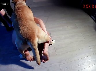 Brother Sister Xxx Xnxx