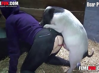 Zoophilie Sexgeschichten