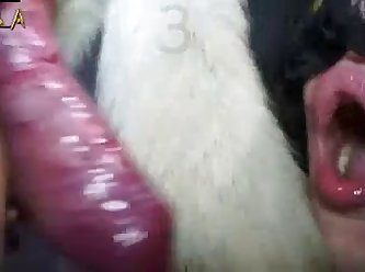 Sophia The Baddie boar g Video Footage Porn