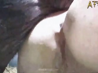 Animal Crossing Porn Video Ankha