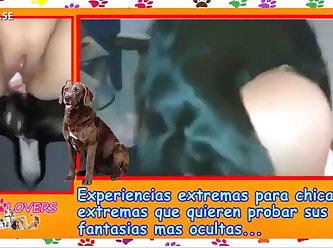 Zoo Manual Dog Lovers xxxxx