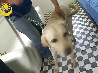 Tokyo Beastfarm Hot Dog Sucking Fucking xxxxx