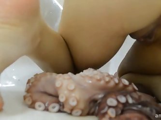 Octopus In Pussy xxxxx