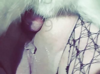 3 Milf Mit Doggie xxxxx