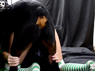 S Exy Videos