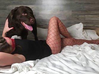 Xx Xx X Only Dog Fun