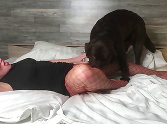 Xx Xx X Only Dog Fun