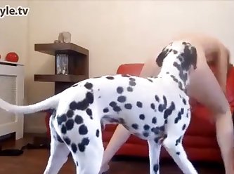 Sexyi Videos